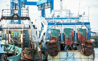 Aires marines protégées britanniques : les pêcheurs français demandent plus de concertation