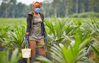 Olam Palm Gabon recrute 315 stagiaires sans diplôme