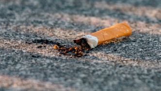 Incendie à Narbonne : 100 mégots jetés par jour sur chaque kilomètre d'autoroute... Pourquoi tant d'inconscience de la part des fumeurs ?