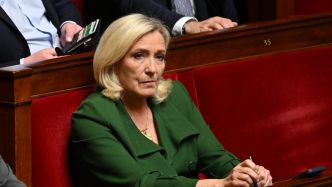 Inéligibilité de Marine Le Pen : la cheffe du parti d'extrême droite appelle la cour européenne des droits de l'Homme à lever "en urgence" sa peine