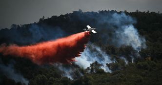 EN DIRECT - Incendies : l'aéroport de Marseille fermé, les pompiers s'attendent à une «après-midi difficile» à Narbonne