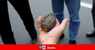 Un habitant de Wilsele découvre deux grenades lors de travaux de rénovation