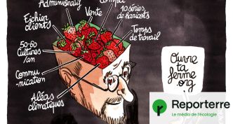 Il a quitté le « monde capitaliste » pour créer un site gratuit pour les maraîchers bio