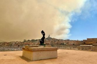 Marseille : un incendie parti de l'A552 menace les quartiers nord