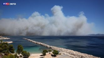 EN DIRECT - Incendies dans le sud de la France : à Marseille, les habitants du 16ᵉ arrondissement confinés | TF1 INFO