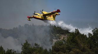 Pourquoi la flotte de canadairs inquiète en cette période d'incendies