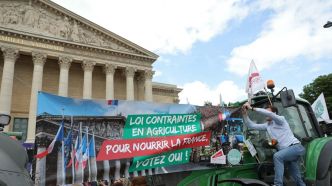 Loi Duplomb et pesticides : comment la FNSEA a imposé ses revendications