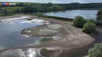 Sécheresse : dans quel état sont les nappes phréatiques cette année ? | TF1 INFO