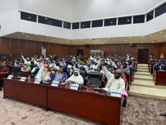Le SENAT adopte l'accord de prêt entre le Tchad et la BADEA pour le projet Bithea 2