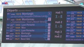 "Je ne sais absolument pas ce que ça veut dire" : voici à quoi correspond le numéro de votre train | TF1 INFO