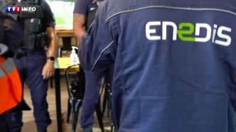 "On a besoin de voir votre compteur Linky" : une vaste opération lancée chez des commerçants suspectés de fraude | TF1 INFO