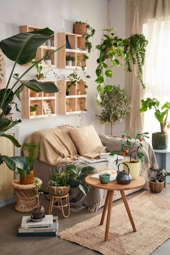 Adieu arbre de jade : en 2025, c'est cette nouvelle plante mexicaine porte-bonheur ultra-déco qu'il faut adopter
