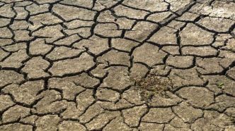 Maroc en soif : l'ombre d'une catastrophe hydrique d'ici 2050