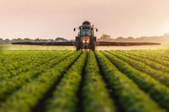 Ce que cachent encore les pesticides : révélations sur un risque invisible