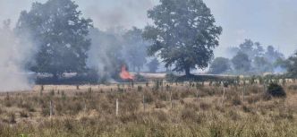 Charente : des feux de champs en cascade mobilisent les pompiers