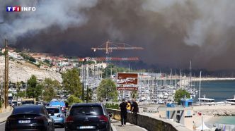 PHOTO - Incendie près de Marseille : le panache de fumée vu du ciel | TF1 INFO