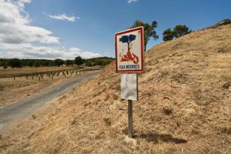 La situation des nappes phréatiques en France est « inquiétante » mais pas « exceptionnelle », sauf dans le nord du pays et le Languedoc