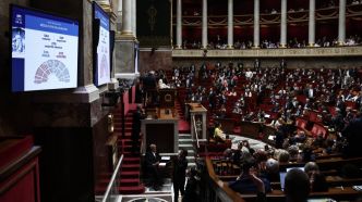 Agriculture: le Parlement adopte définitivement la loi Duplomb