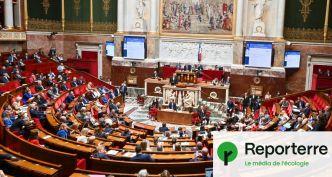 Loi Duplomb : adoption d'un texte funeste pour l'environnement