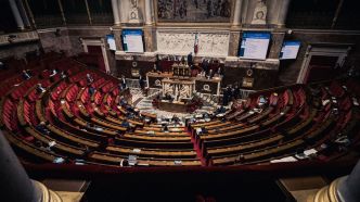 Loi Duplomb : vote des députés sur ce texte controversé en agriculture – découvrez leur position