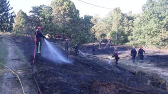 Un feu maîtrisé de justesse entre les communes de Mézel et Estoublon dans les Alpes-de-Haute-Provence