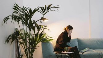 Des plantes artificielles ultra-réalistes chez soi ? La green touch sans stress (ni arrosoir)