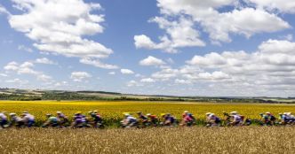 Tour de France 2025 : la lettre de Flaubert, le château d'Anquetil et les seigneurs du peloton