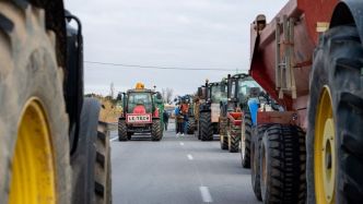 La loi Duplomb adoptée : Pesticides, élevage et eau, ce qu'il faut retenir de cette loi controversée chargée de "lever les contraintes" des agriculteurs