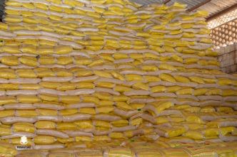 Guinée : l'État fixe des prix plafonds sur les produits de première nécessité