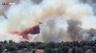 "C'est l'apocalypse" : les images marquantes de l'incendie à Marseille | TF1 INFO