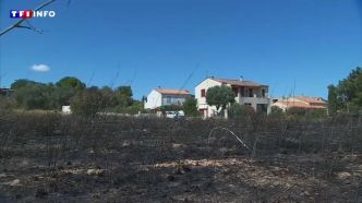 "Dès qu'il y a un coup de vent, la fumée remonte" : dans l'Aude, un village cerné par les flammes | TF1 INFO