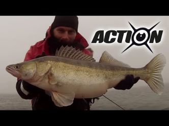 Pêche du sandre en verticale par Ultimate fishing - la pêche aux leurres en float tube et en&#x [...]