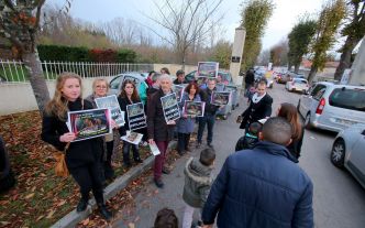 Pau : les défenseurs des animaux molestés devant le cirque
