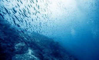 On aurait retrouvé les restes d'un océan perdu en Méditerranée | Biodiversité