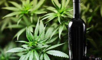 Le premier vin au cannabis vient d’être mis en vente !