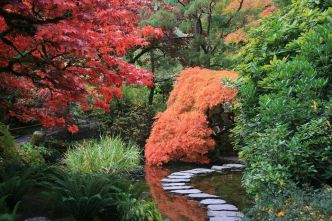 Inspiration Japonaise Pour Votre Jardin - Mon Inspiration Jardin