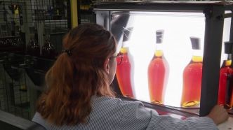 Cognac : les ventes dopées par les exportations en 2021