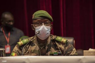 Analyses politiques, économiques et géopolitiques des sanctions contre le Mali/propositions pour un règlement pacifique de la crise avec la Cedeao