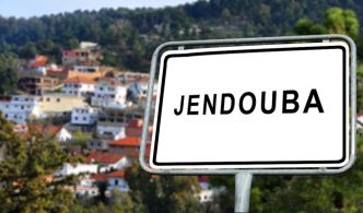 Jendouba: extinction du feu déclaré dans une décharge sauvage à Ghardimou