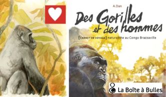 Des gorilles et des hommes : Carnet de voyage chez La Boîte à Bulles
