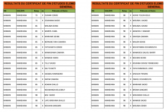 Examen d'entrée en 7ème Année en Guinée : voici tous les résultats (enseignement général et franco-arabe)