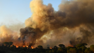 Dordogne : plus de 100 hectares détruits dans deux incendies