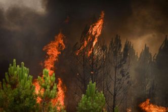 Le soupçon de la pyromanie plane sur les incendies de l'été