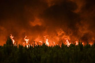 Climat : « La brûlure est la conséquence de l'emprise incontrôlée des entreprises sur nos vies »