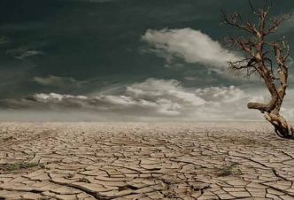 Une #sécheresse horrifiante provoque des pertes de récoltes généralisées aux #États-Unis et en #Europe