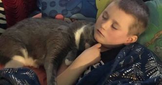 Ce chat vient en aide à un petit garçon handicapé en pleine crise de larmes (Vidéo)