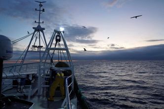 L'Union européenne n'est pas parvenue à mettre fin à la pêche illicite