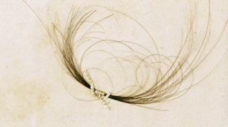 Napoléon 1er : une mèche de ses cheveux vendue 7.700 euros aux enchères