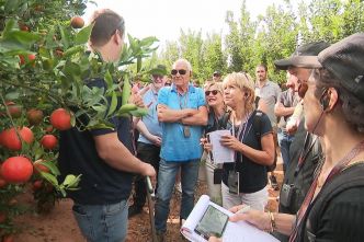 Des agriculteurs de Haute-Corse à la découverte des Kibboutz en Israël