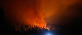 Les multiples feux de forêt dans le centre du Chili, où sévit une intense vague de chaleur, ont fait au moins 24 morts et 1.182 blessés, selon les autorités - VIDEO
